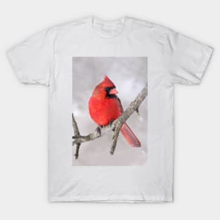 Northern Cardinal T-Shirt